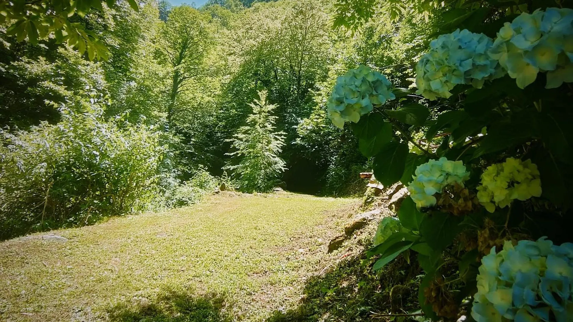 Casa Vacanze Il Boscaccio 