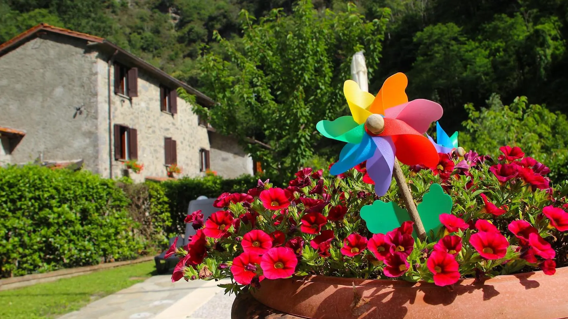 Casa Vacanze Il Boscaccio 