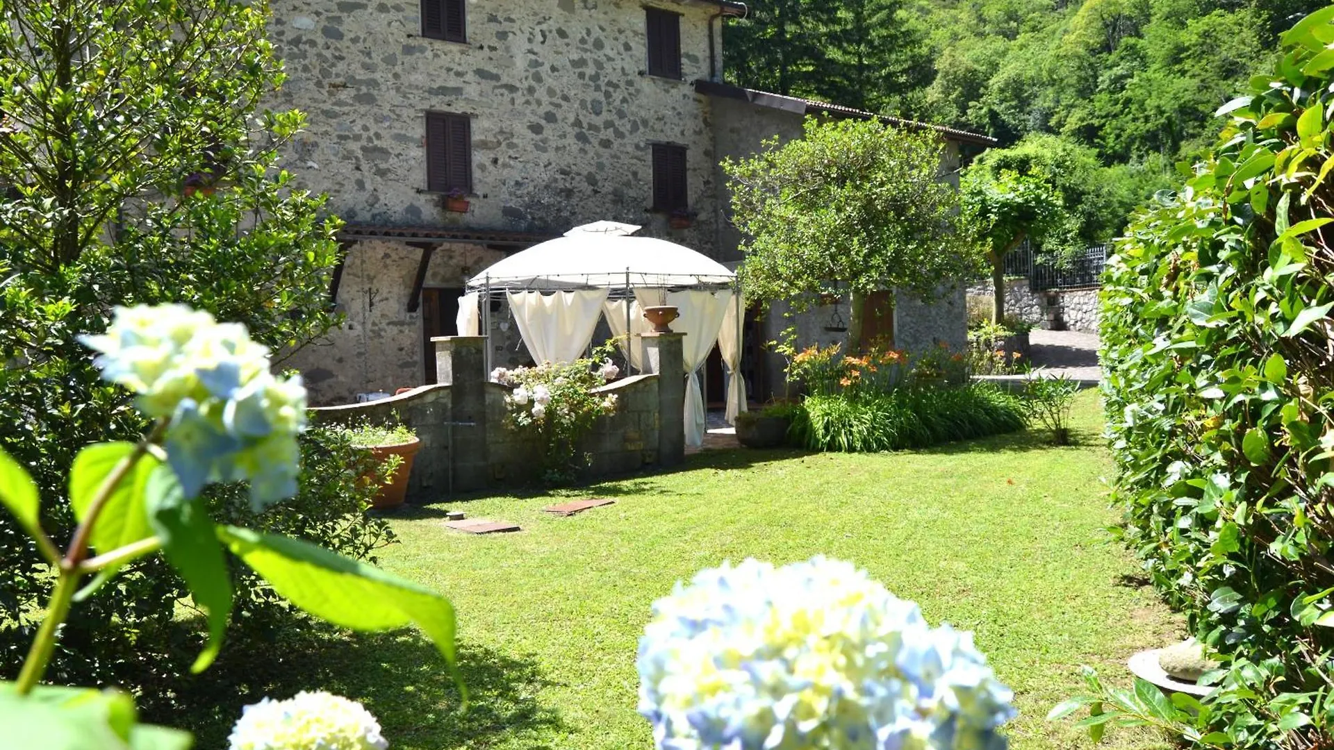 Casa Vacanze Il Boscaccio 